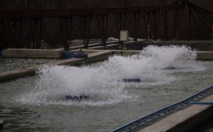 دستگاه هواده پرورش ماهی