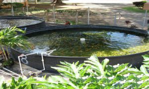 دستگاه اکسیژن ساز پرورش ماهی