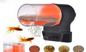 دستگاه غذادهی اتوماتیک ماهی